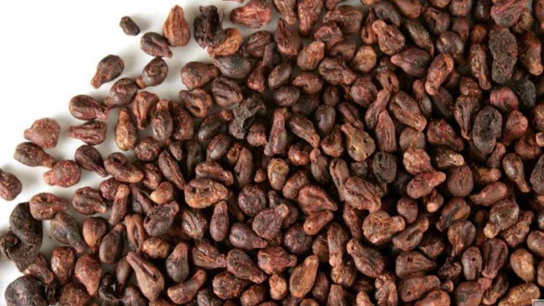 Bu bitkilerin bir tek ölüme çaresi yok! Bedava olduğu için kimse tavsiye etmiyor: Bu 9 bitki ile bir daha hasta olmayacaksınız 9